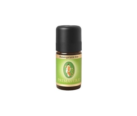 Géranium Rosat (Rosengéranie bio)
