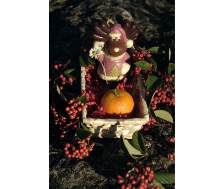 copy of Sachet Spécial Saint Nicolas