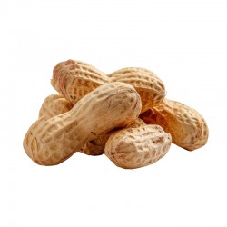 Graines De Courge Salées